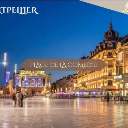 Centre 10 Min Gare Comedie Appartement